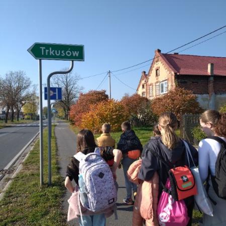 Wyświetl org. rozmiar