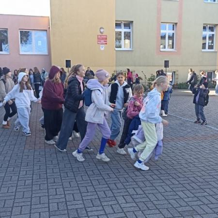 Wyświetl org. rozmiar