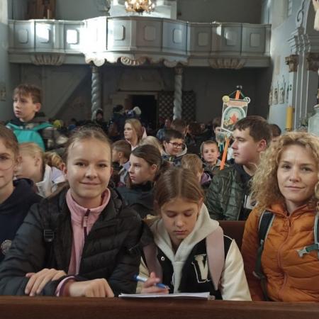 Wyświetl org. rozmiar