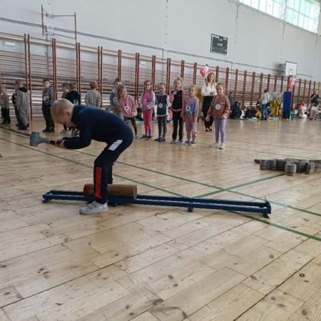 Wyświetl org. rozmiar