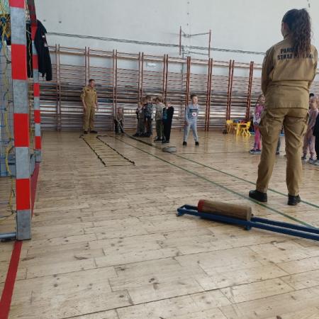 Wyświetl org. rozmiar