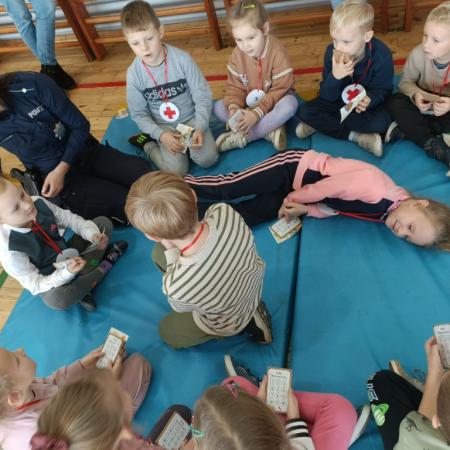 Wyświetl org. rozmiar