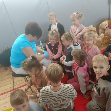 Wyświetl org. rozmiar