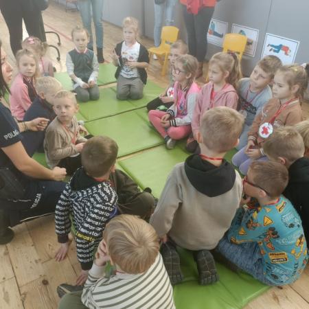 Wyświetl org. rozmiar