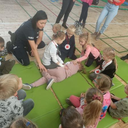 Wyświetl org. rozmiar