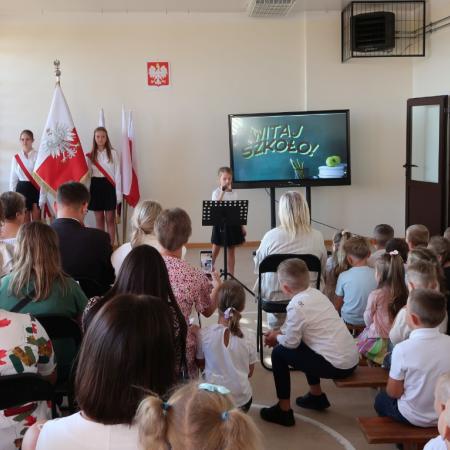 Wyświetl org. rozmiar