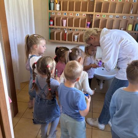 Wyświetl org. rozmiar