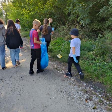 Wyświetl org. rozmiar