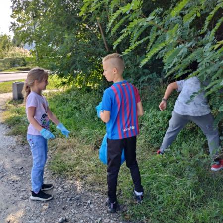 Wyświetl org. rozmiar