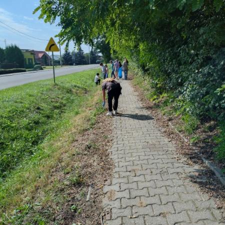 Wyświetl org. rozmiar