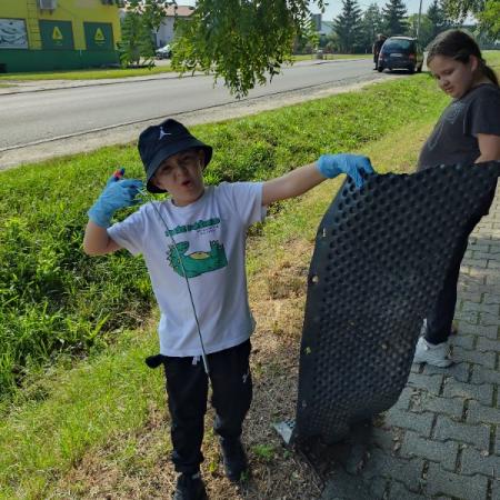 Wyświetl org. rozmiar