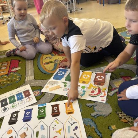 Wyświetl org. rozmiar