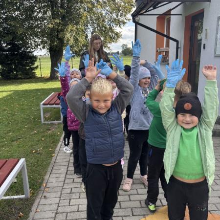 Wyświetl org. rozmiar