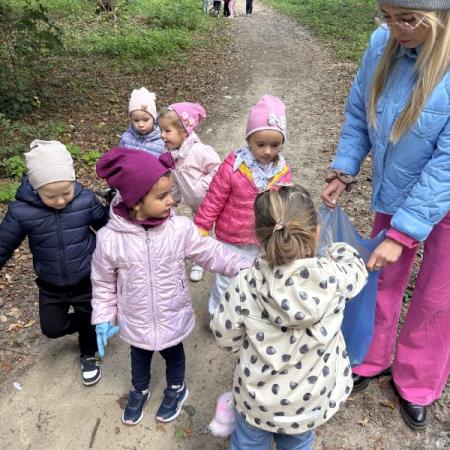 Wyświetl org. rozmiar