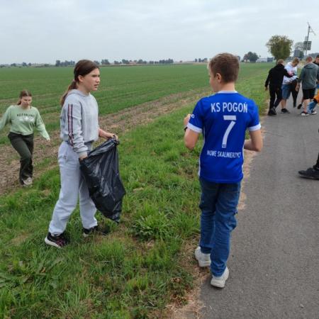 Wyświetl org. rozmiar