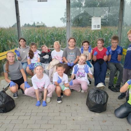 Wyświetl org. rozmiar