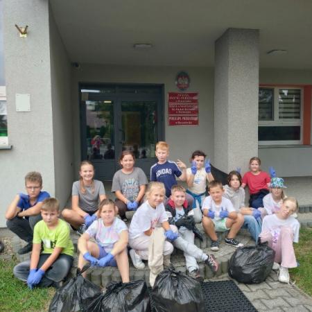 Wyświetl org. rozmiar