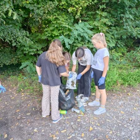 Wyświetl org. rozmiar