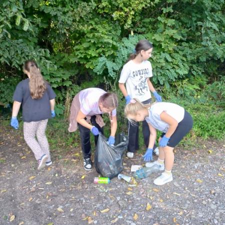 Wyświetl org. rozmiar