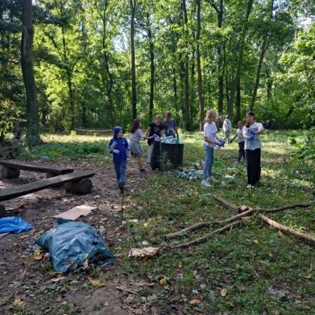 Wyświetl org. rozmiar