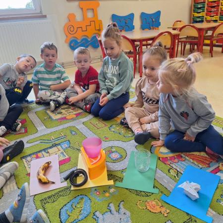 Wyświetl org. rozmiar
