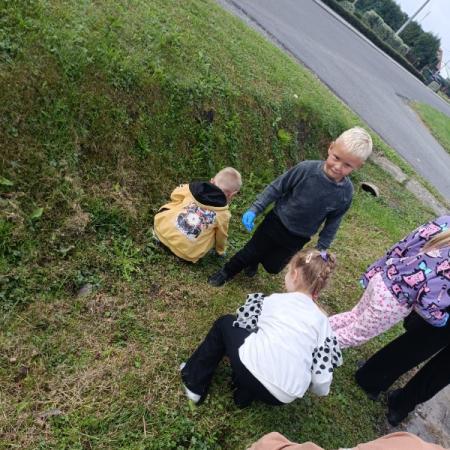 Wyświetl org. rozmiar