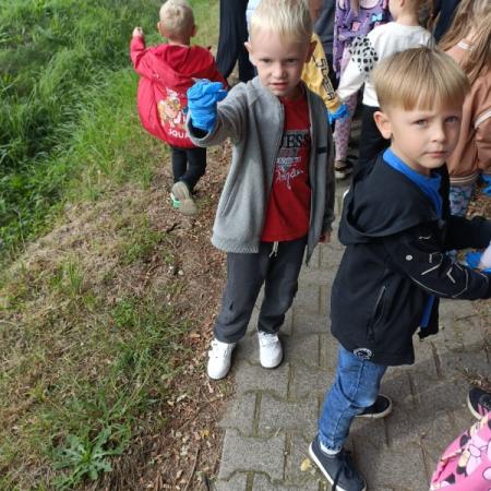 Wyświetl org. rozmiar
