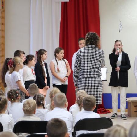 Wyświetl org. rozmiar