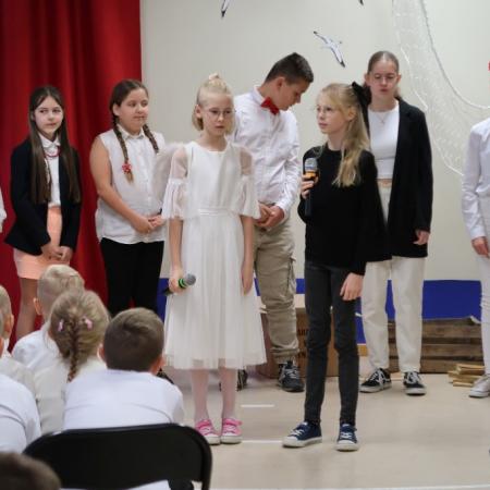 Wyświetl org. rozmiar