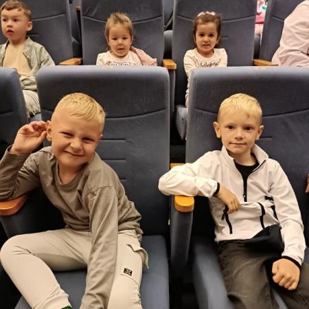 Wyświetl org. rozmiar