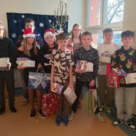 Wyświetl org. rozmiar