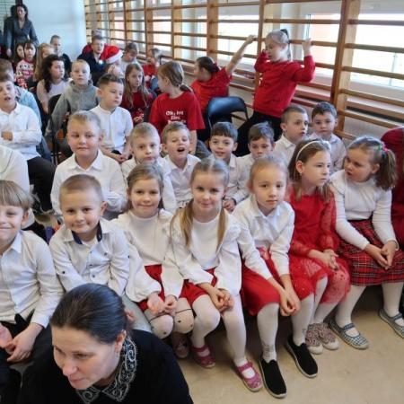 Wyświetl org. rozmiar