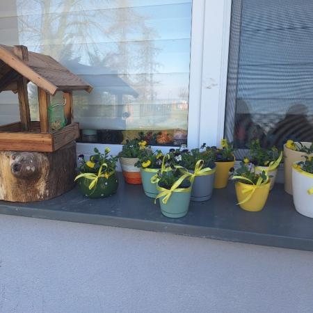 Wyświetl org. rozmiar