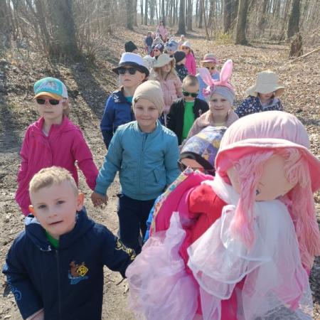 Wyświetl org. rozmiar