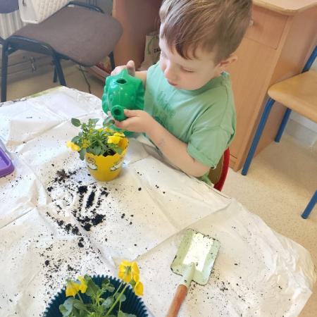 Wyświetl org. rozmiar