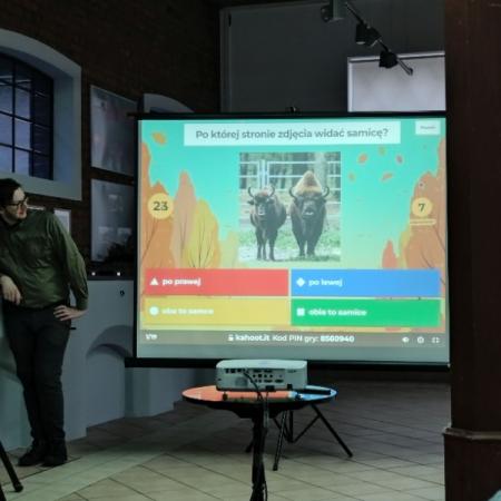 Wyświetl org. rozmiar