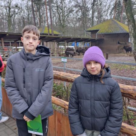 Wyświetl org. rozmiar