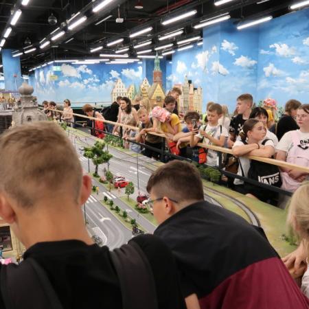 Wyświetl org. rozmiar