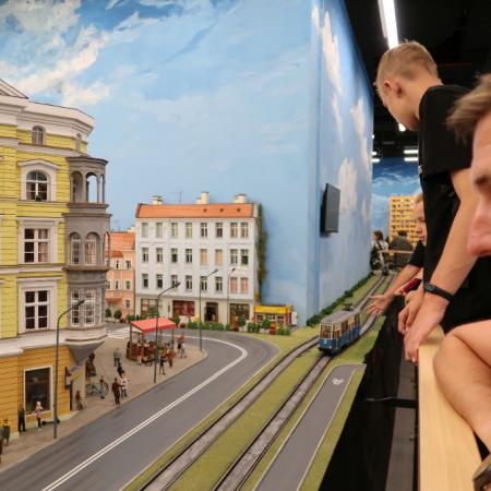 Wyświetl org. rozmiar