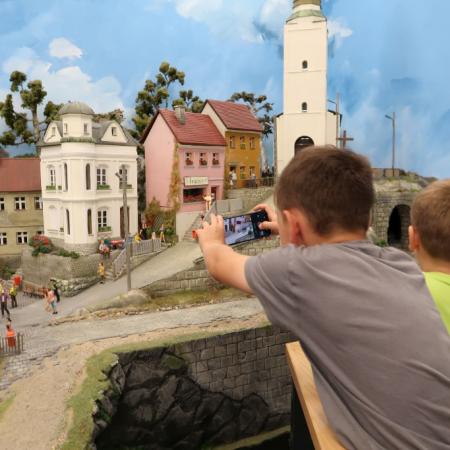 Wyświetl org. rozmiar