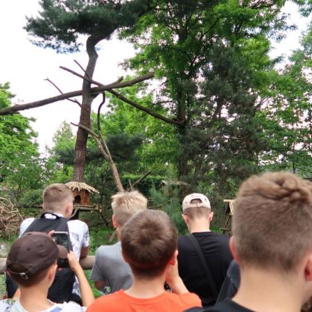 Wyświetl org. rozmiar