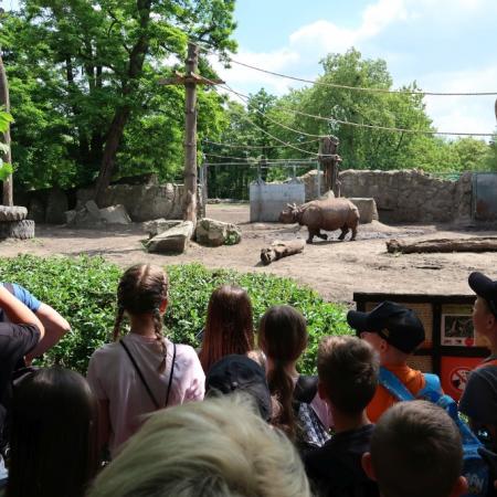 Wyświetl org. rozmiar
