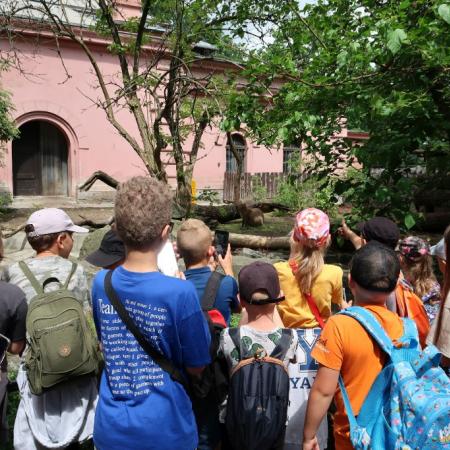 Wyświetl org. rozmiar