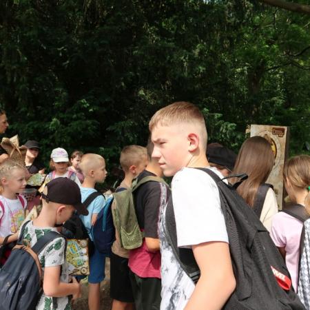 Wyświetl org. rozmiar