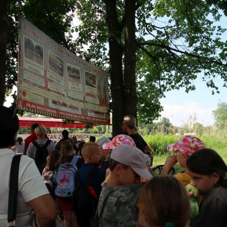 Wyświetl org. rozmiar