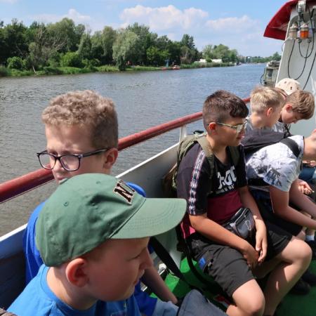 Wyświetl org. rozmiar