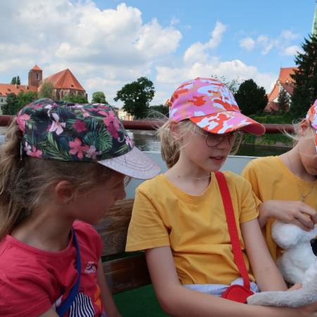 Wyświetl org. rozmiar