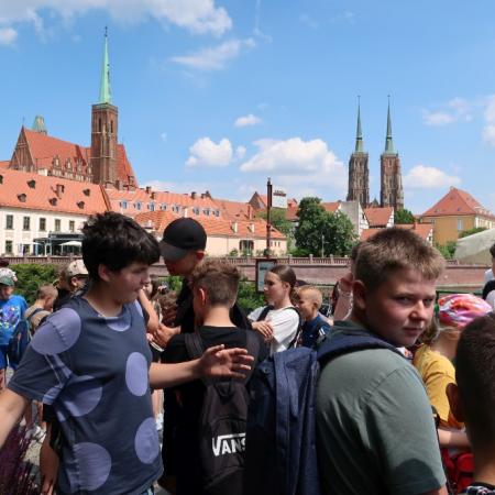 Wyświetl org. rozmiar
