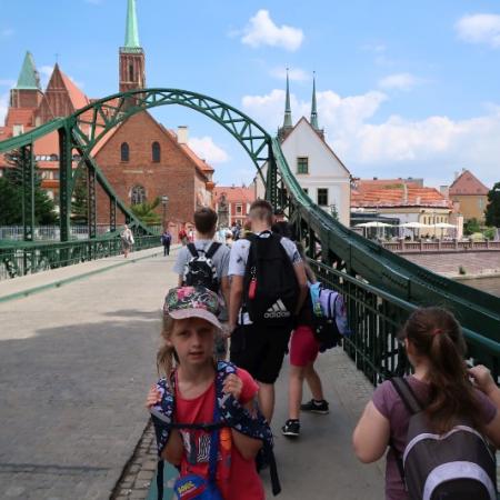 Wyświetl org. rozmiar