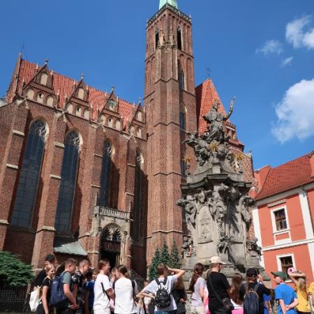 Wyświetl org. rozmiar